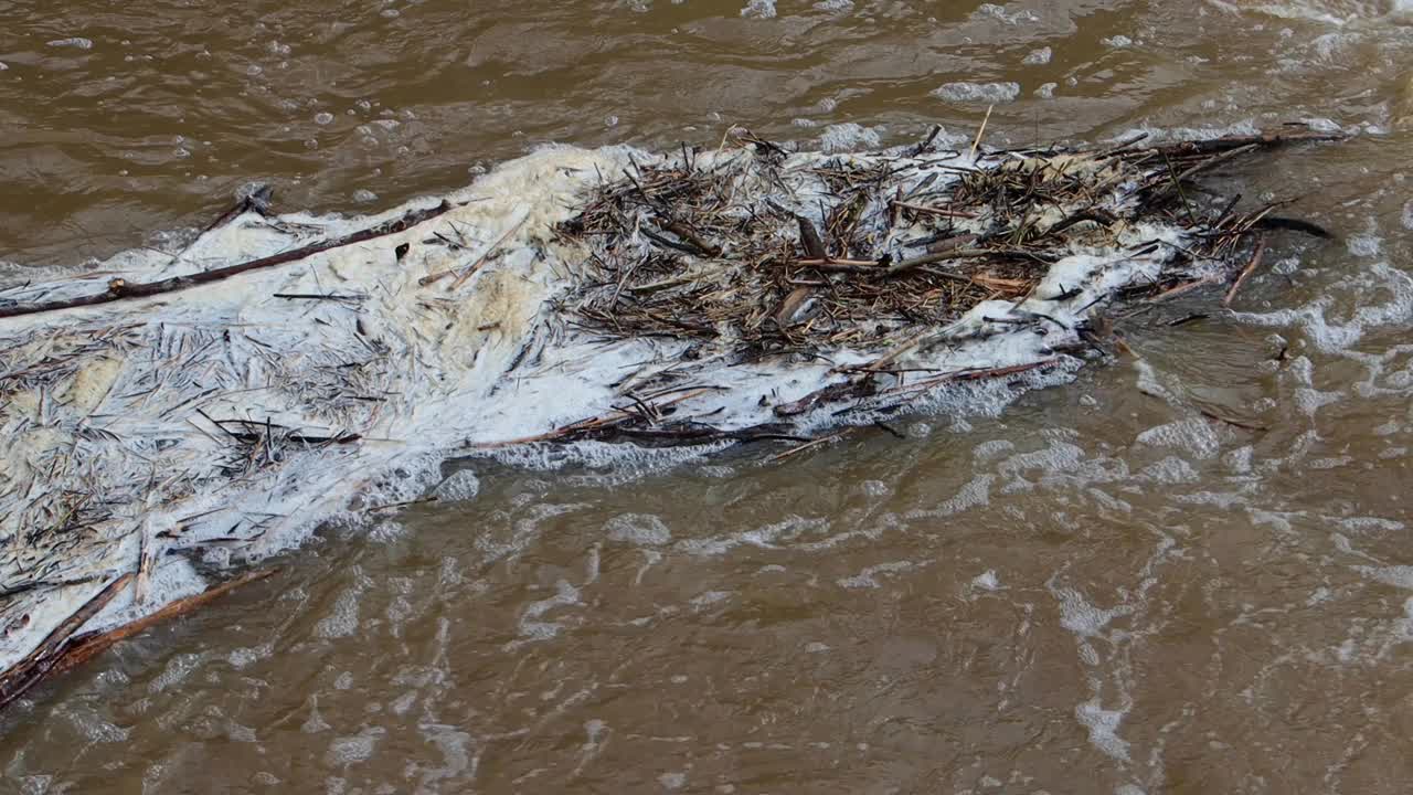 成堆的木屑垃圾在洪水期间漂浮在水面上，污染环境水质视频下载