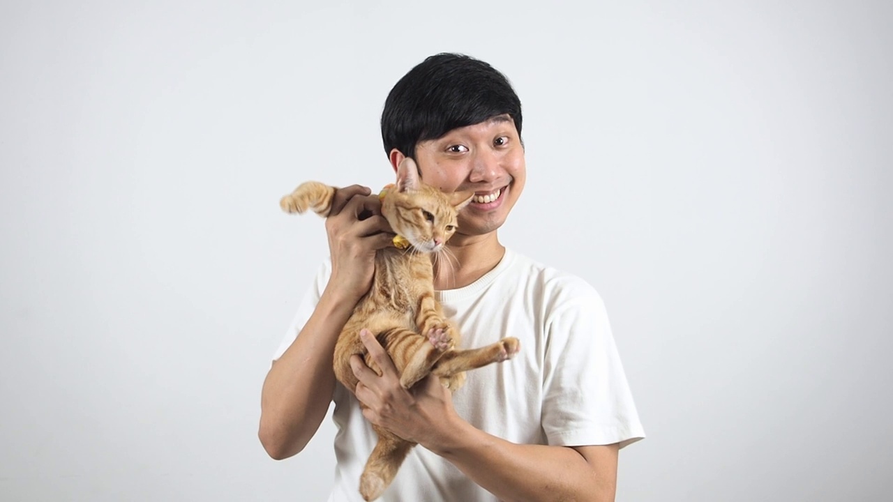 白色衬衫的男人抱着他的猫和它玩耍，亚洲男人快乐的情绪带着橙色的家猫感到快乐视频下载