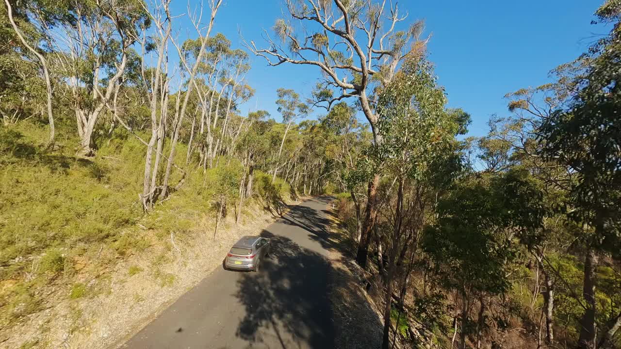 汽车正沿着一条森林道路行驶。无人机的视频。视频素材