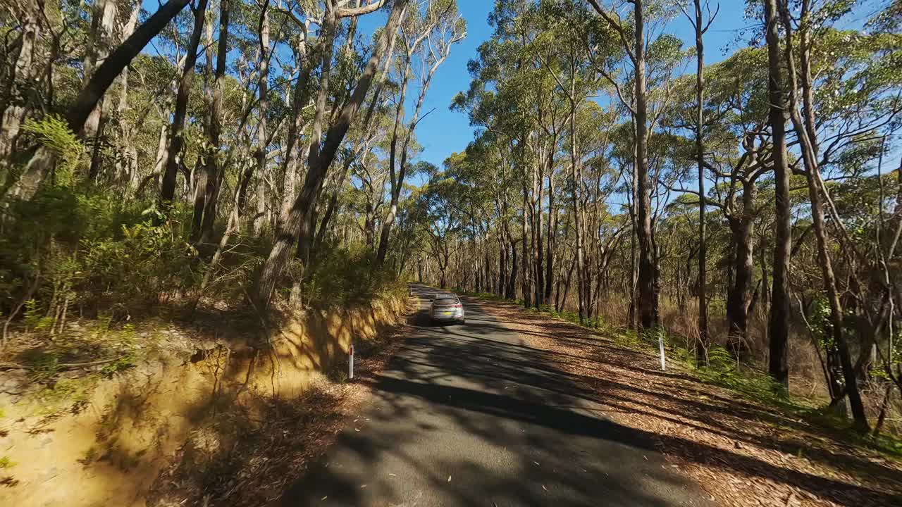 沿着森林道路行驶。无人机的视频。视频素材