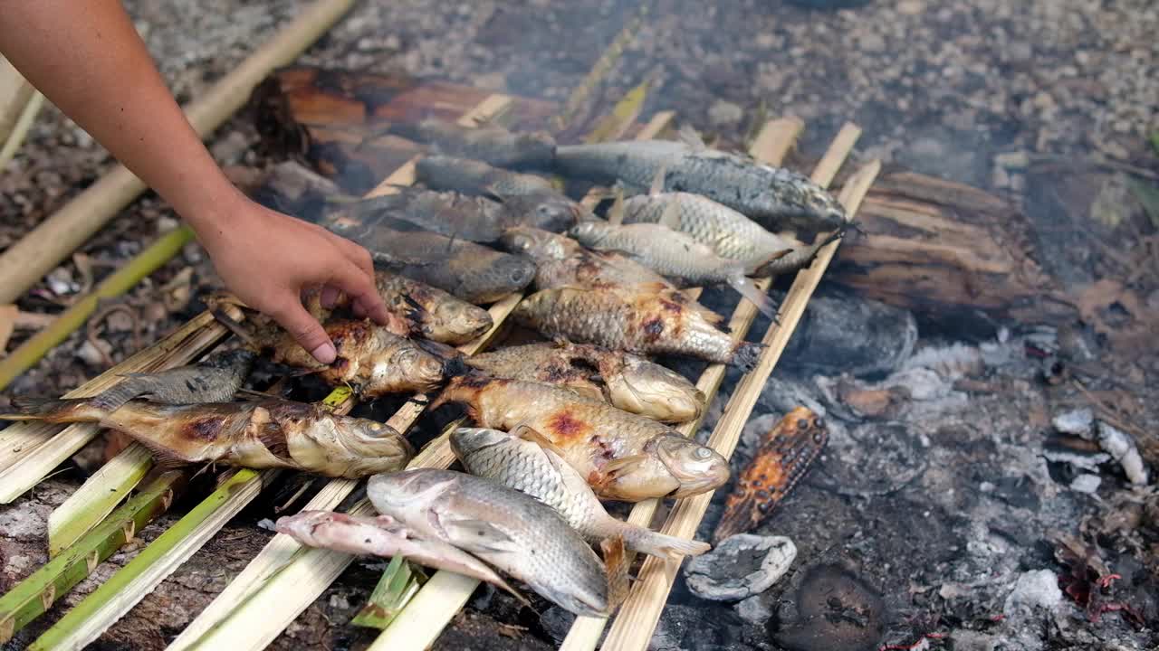 在煤上烤鱼视频素材