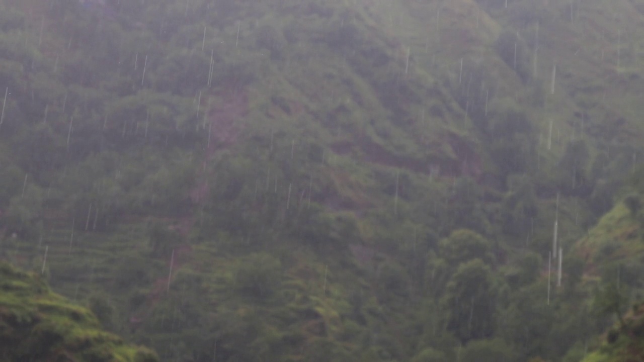 自然背景下大雨视频素材