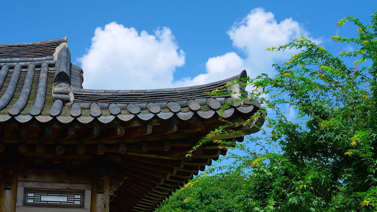 韩屋(韩国传统房屋)与自然——风中摇曳的树叶/韩国视频素材