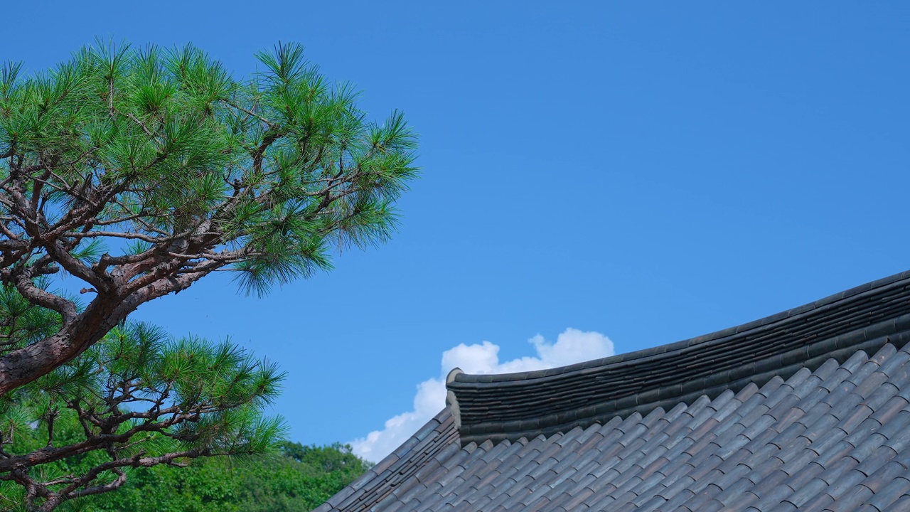 韩屋(韩国传统房屋)和自然——云在瓦片屋顶上快速通过/韩国视频素材