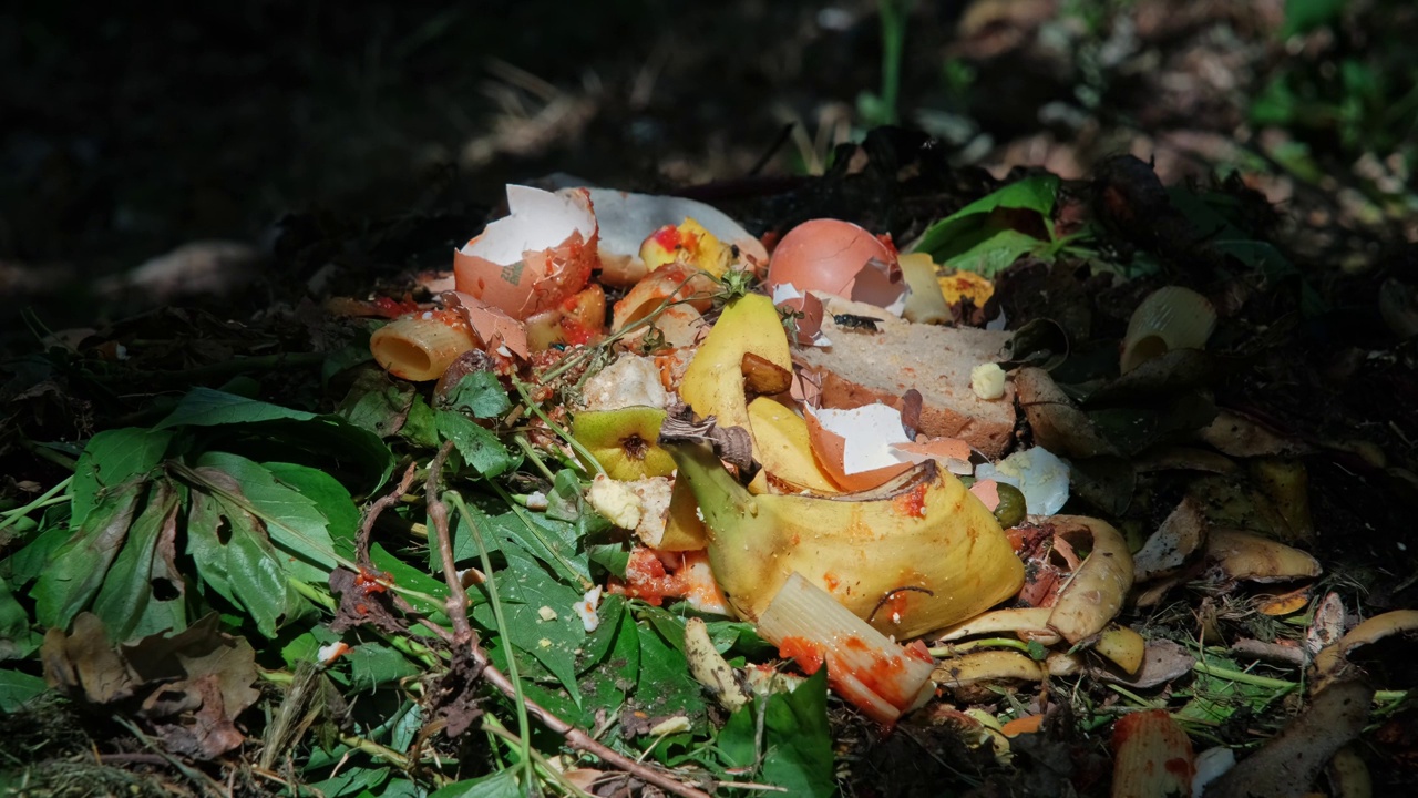 花园后院腐烂的草、干草、食物和水果残渣堆成的堆肥视频素材