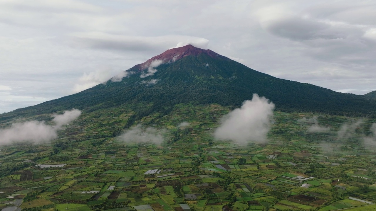 茶园Kayu Aro和Mount Kerinci。印度尼西亚苏门答腊。视频素材