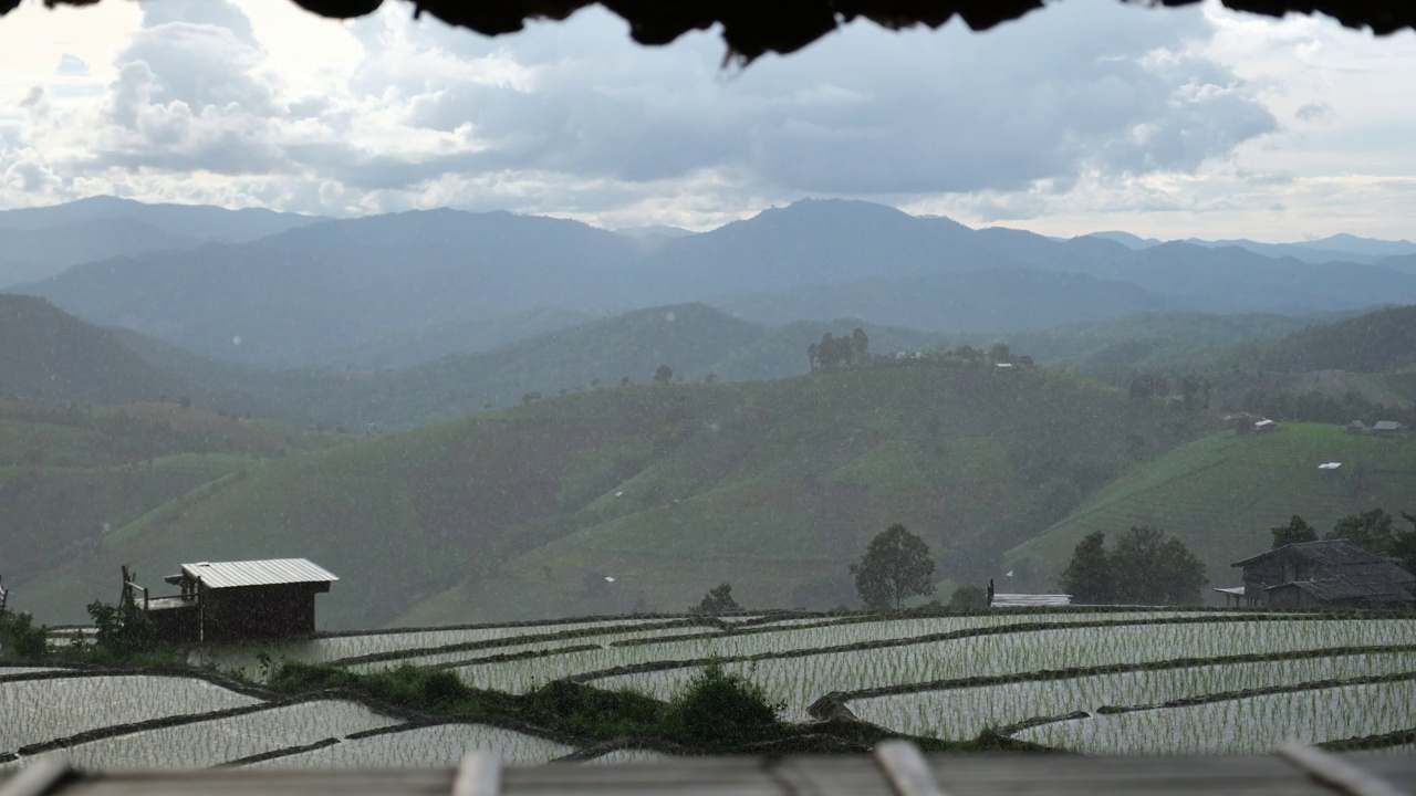 在泰国北部，雨水洒在绿色的水田上，可以看到山景视频素材