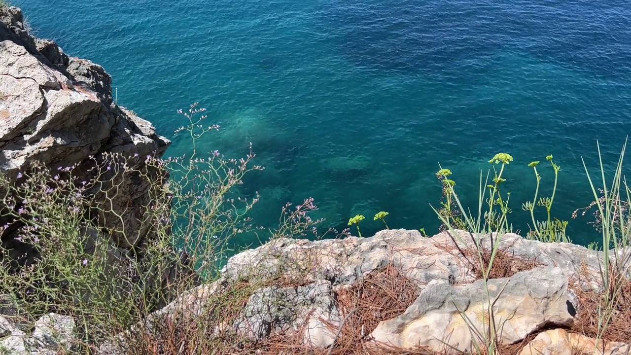 碧蓝碧绿的海水，海岸岩石上的野花和草药。视频素材