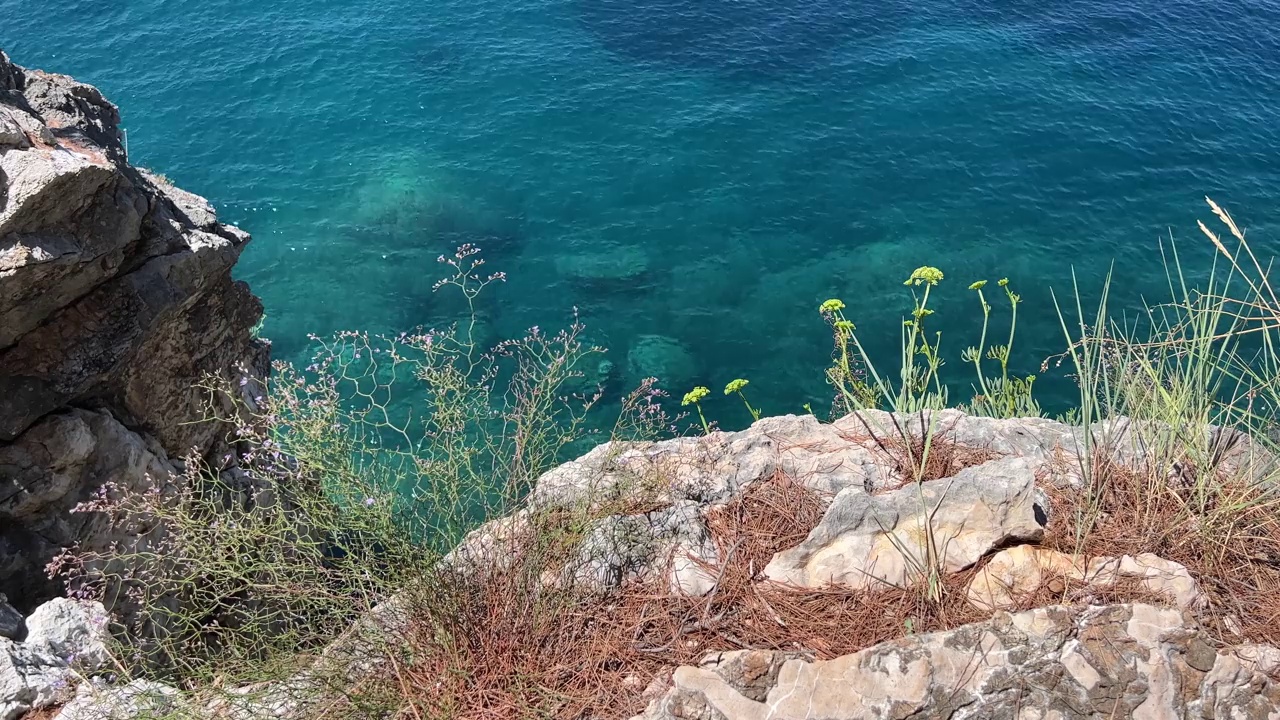 海蓝碧绿的海水和海岸悬崖上的野花和草药。视频素材