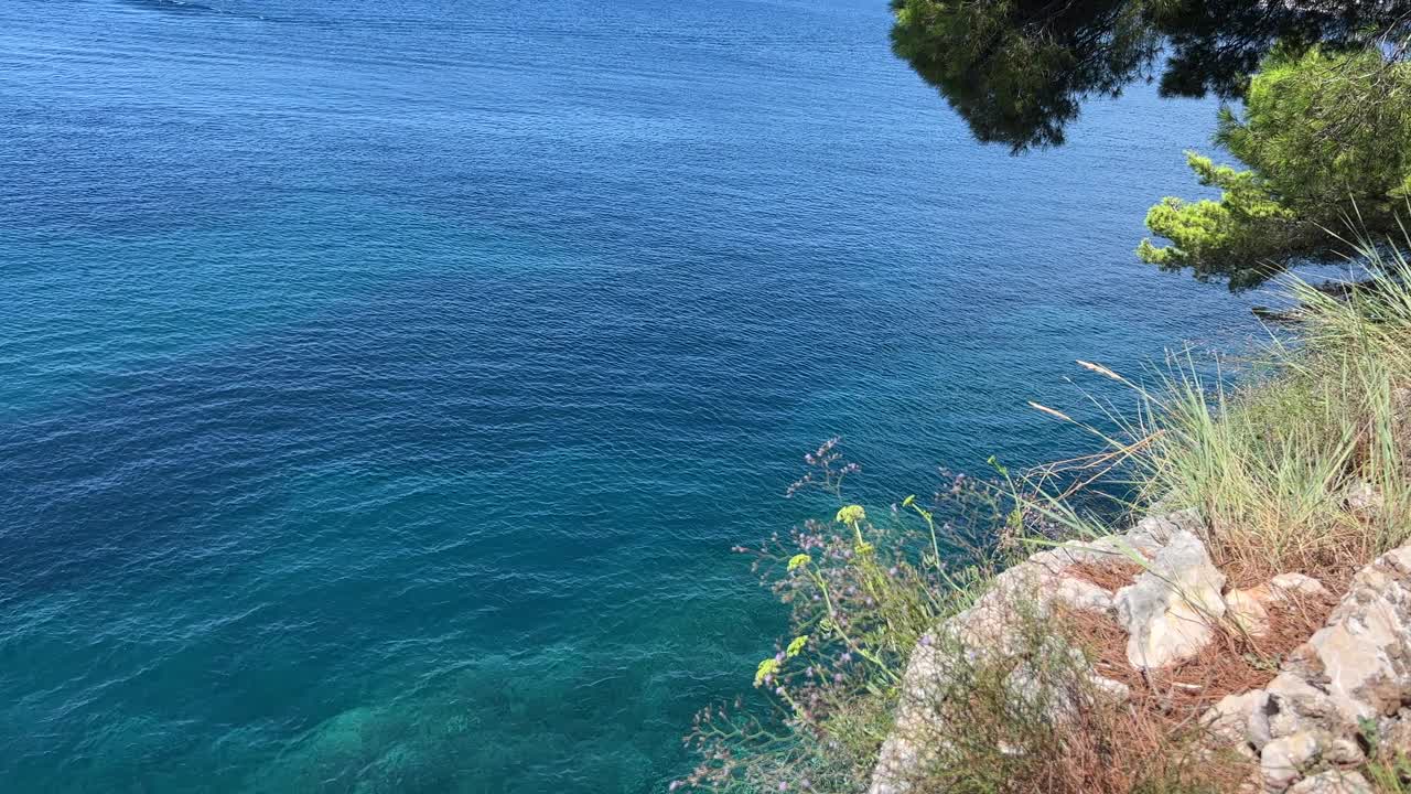 湛蓝的海水，海岸岩石上的野花和草药。视频素材