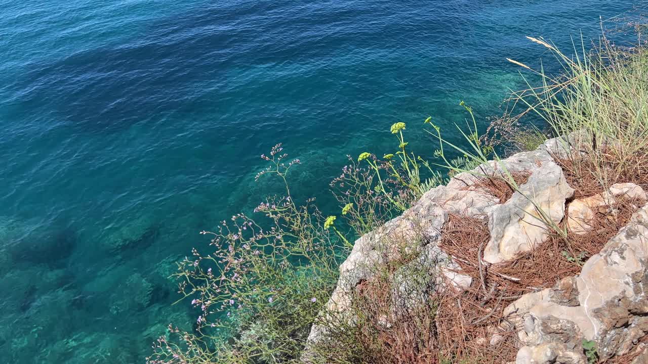 蓝色的大海和岩石，草地和野花。视频素材