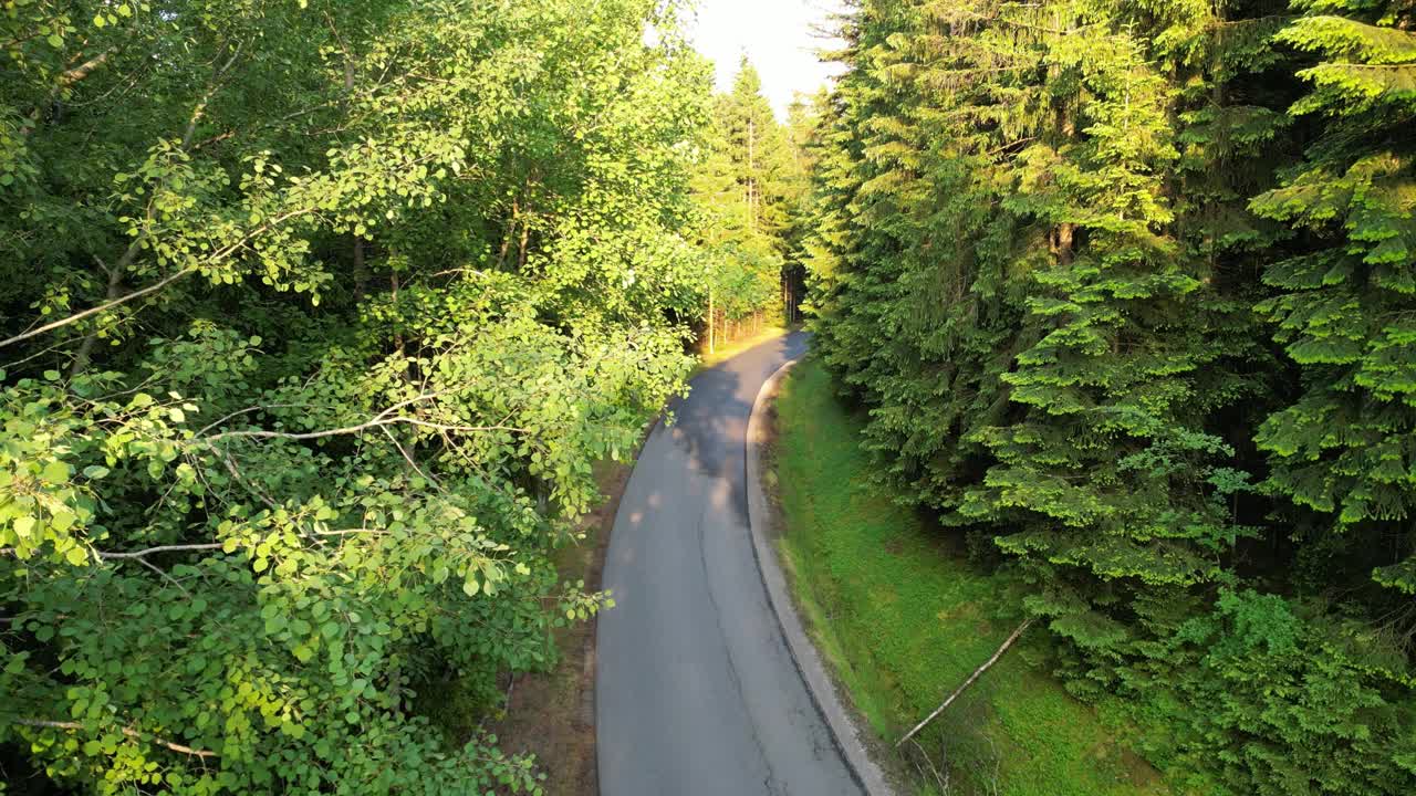 孤独的森林道路被美丽的绿树包围在山区视频下载