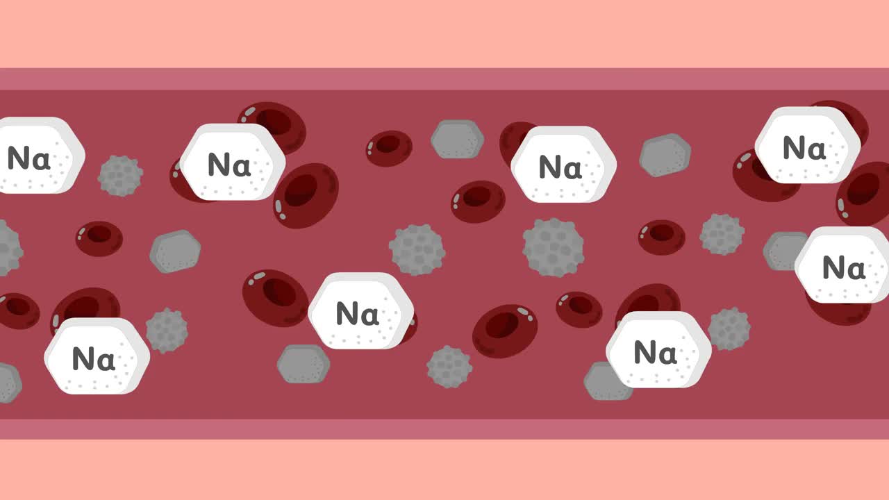 人体血管系统中的钠和水视频下载