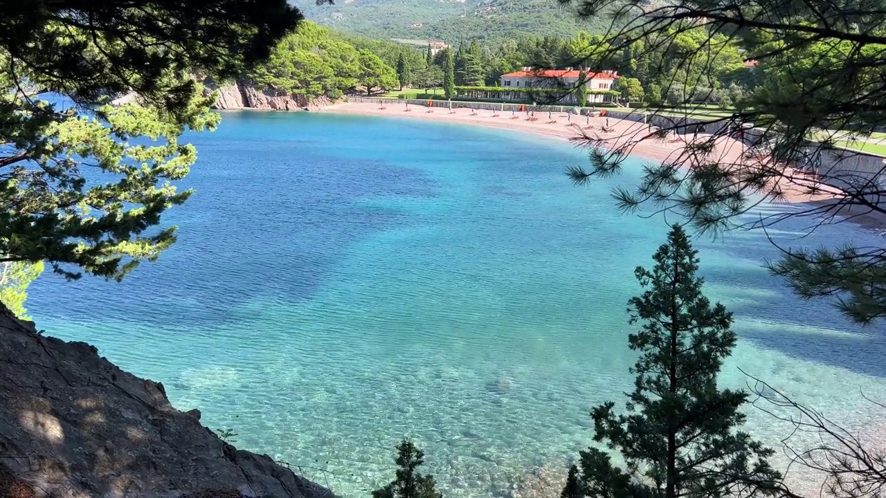 蓝色的海湾和海岸上的针叶树视频素材