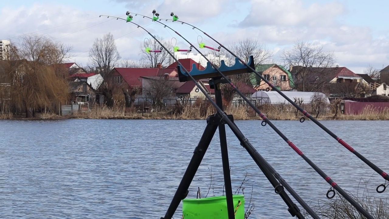 三根钓鱼竿固定在支架上，带着信号装置安装在湖岸或河岸上。馈线钓鱼。捕捞鲤鱼、鲢鱼、太平鱼等视频下载