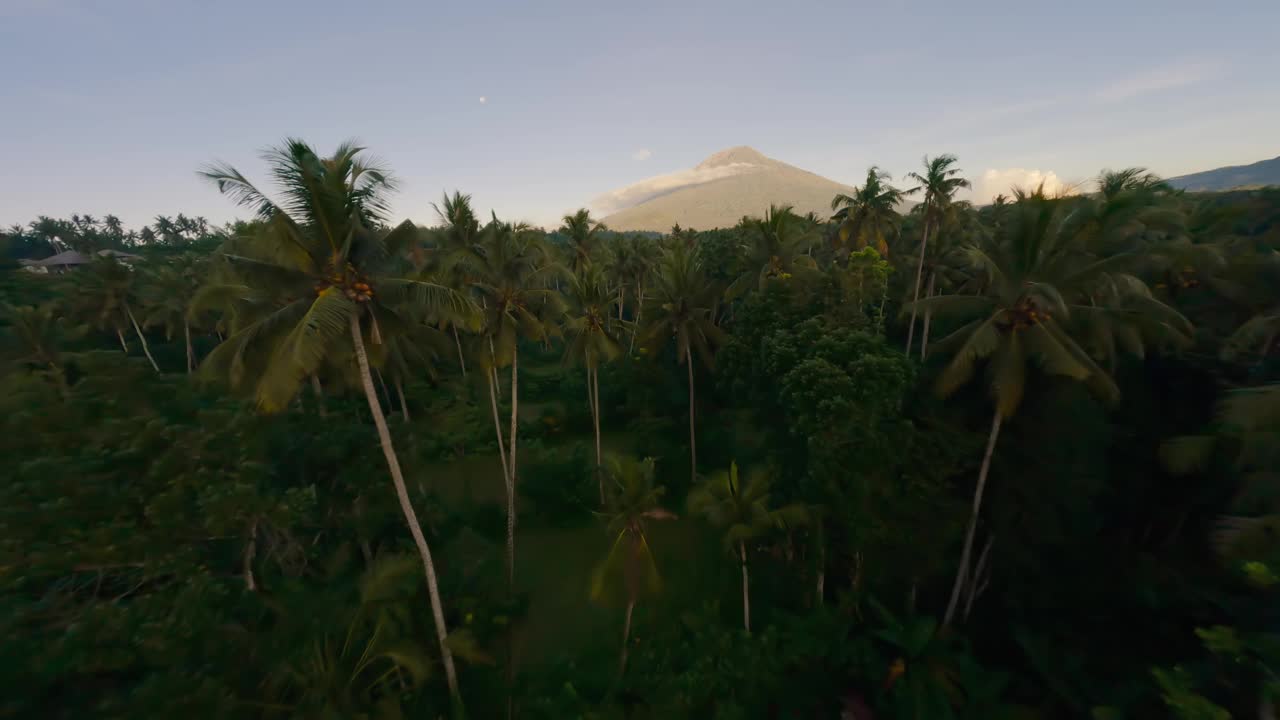 鸟瞰图飞越棕榈树雨林热带植物山谷与山火山蓝天视频素材