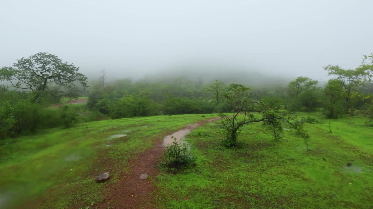 在下雨天，萨亚德里山徒步旅行路线的4K移动镜头。在森林里下雨。印度西喜马拉雅季风期间的徒步旅行。视频素材