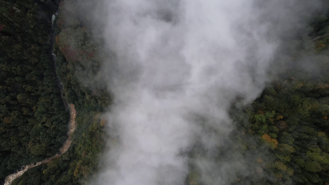 雾中的Zilkale城堡无人机视频，Ayder高原Kackar山脉，Camlihemsin Rize，土耳其(土耳其语)视频素材