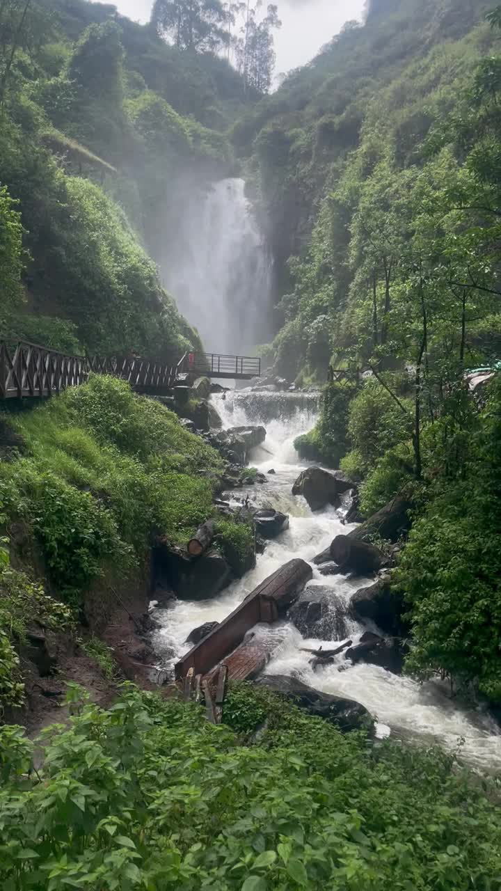 绿色森林中的天然瀑布景观视频素材