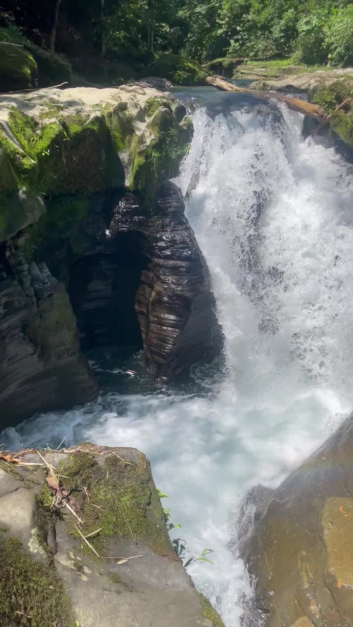 绿色森林中的天然瀑布景观视频素材