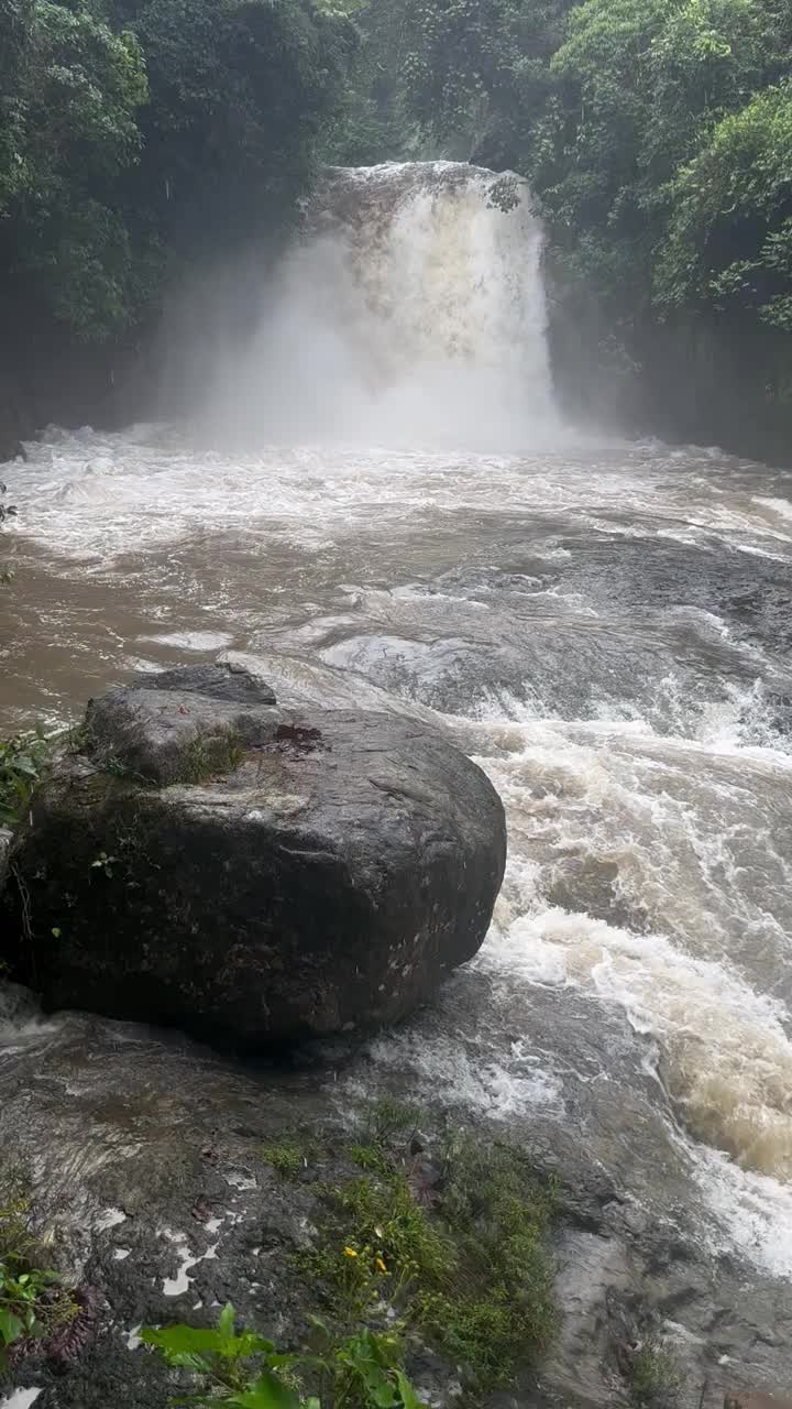 绿色森林中的天然瀑布景观视频素材