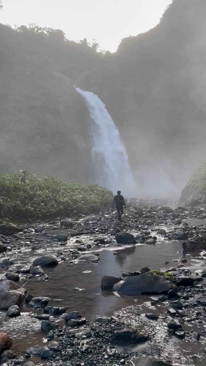 绿色森林中的天然瀑布景观视频素材
