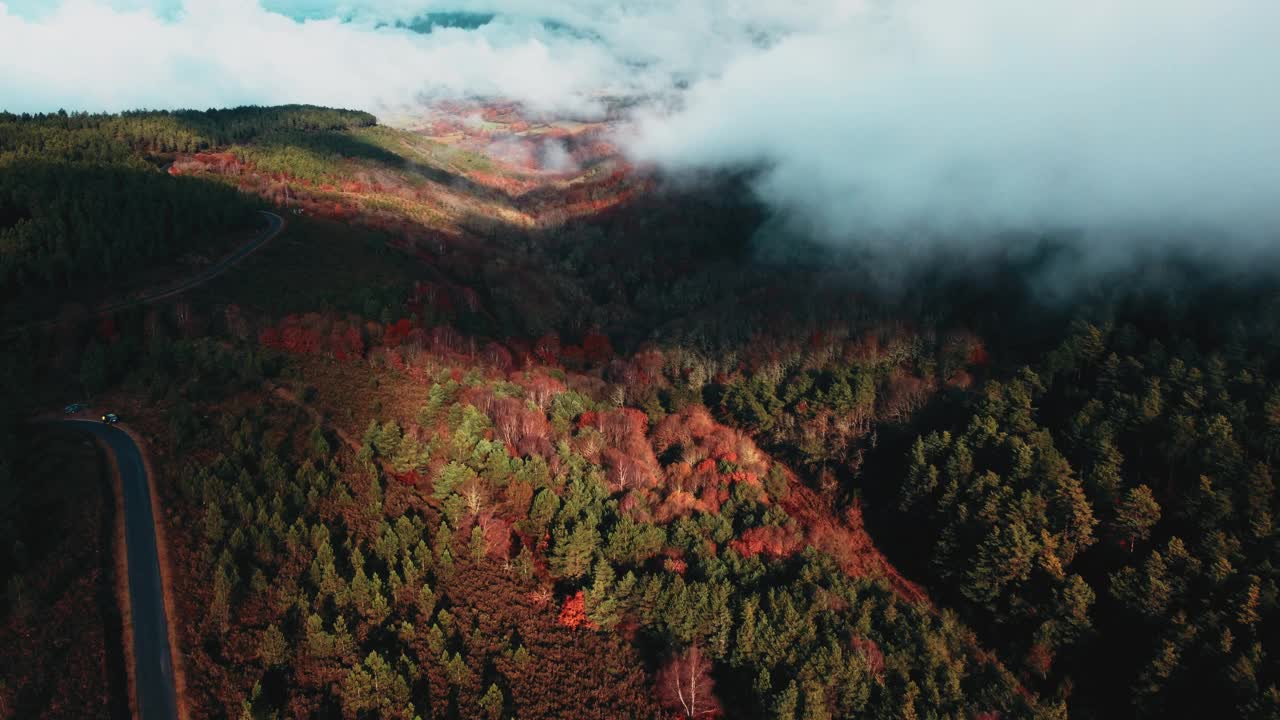 雾笼罩山谷视频素材