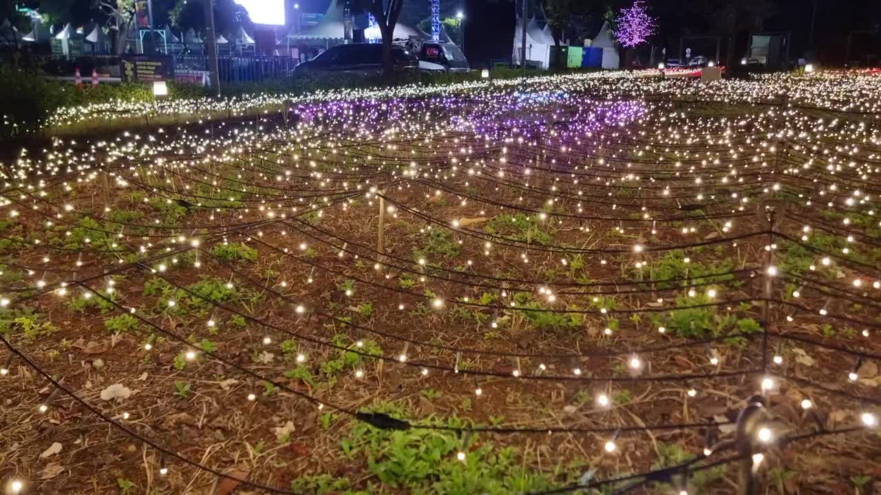 美丽的花园灯照亮了花朵视频下载