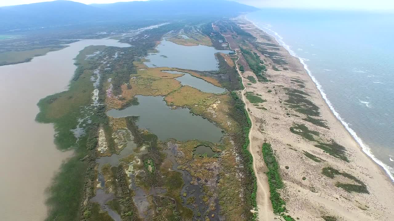 近岸湖泊及沿岸漂流形成的湿地沼泽鸟瞰图视频素材