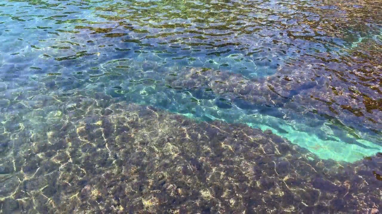 海浪湛蓝绿松石晶莹剔透的涟漪表面与藻类在底部。视频素材