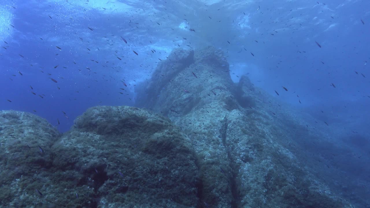 水下场景-从浅水区看珊瑚礁视频素材