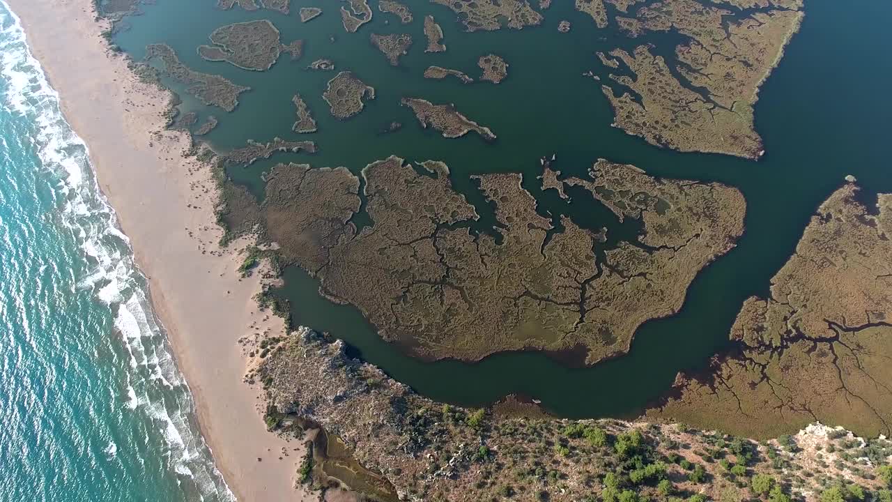 临海三角洲芦苇丛河道鸟瞰图视频素材