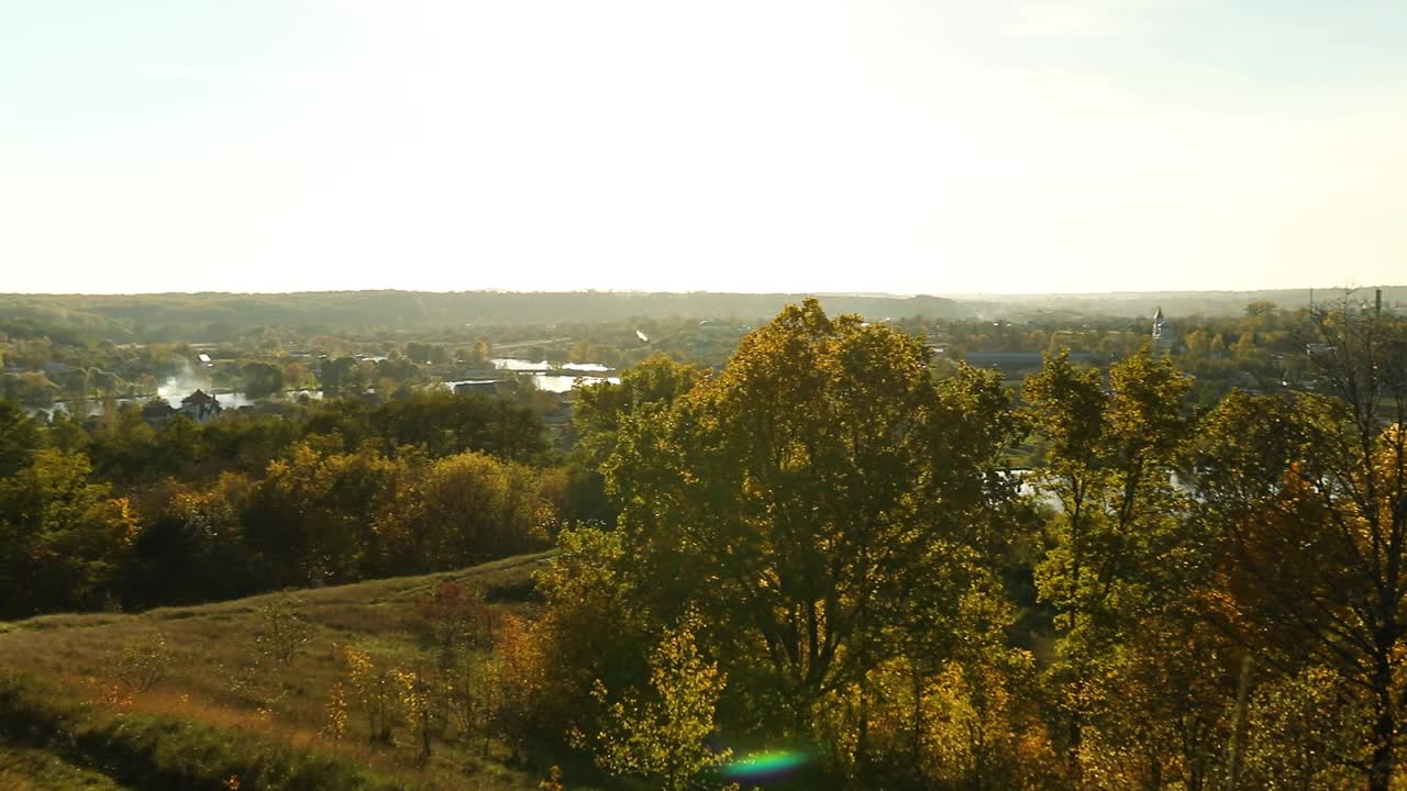 美丽的黄叶秋景，多风视频素材