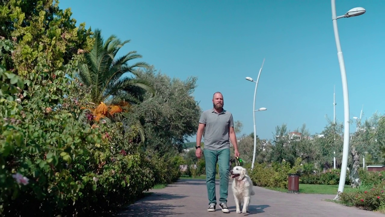 夏天，一名男子带着他快乐的宠物金毛猎犬在街上散步。视频素材