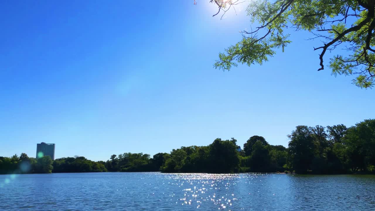 美丽的风景与宁静的水面，树木在湖或池塘的看法，可循环，4K视频素材