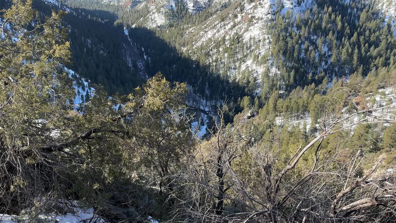 科科尼诺国家森林的荒山视频素材