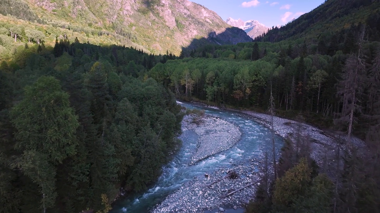 山峡在阴凉处。山中岩石河中针叶林之间有针叶树视频素材