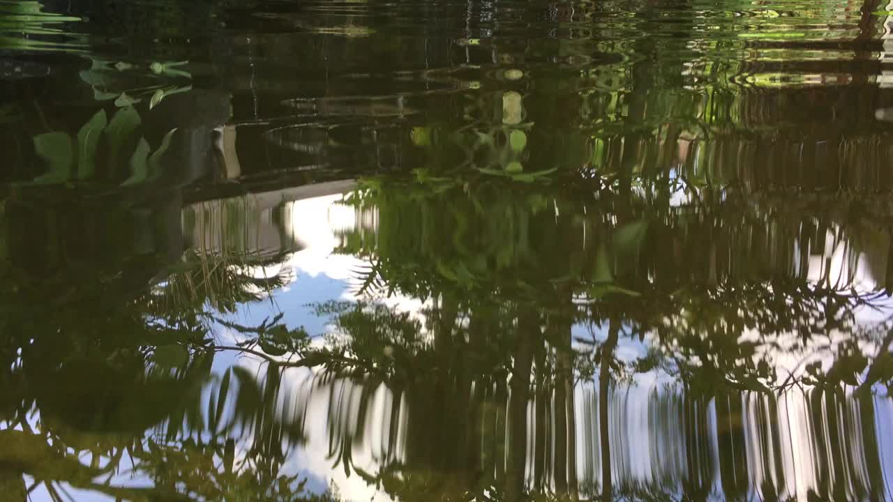 波浪状的水面上有树木的倒影视频下载