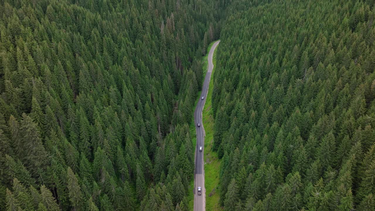 鸟瞰图飞越旧补丁双车道森林道路与汽车移动。两边都是茂密的绿树。车队沿着森林道路行驶。开车穿过松林。视频素材