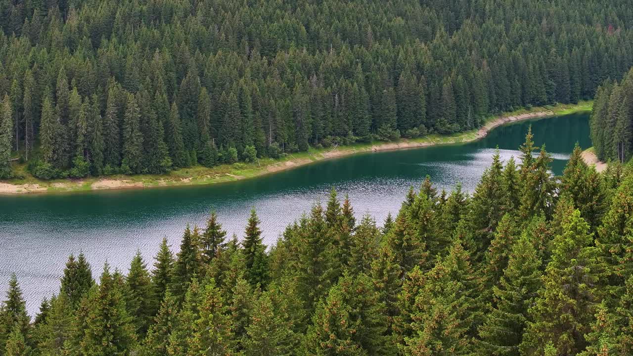 蓝色的湖泊和绿色的森林鸟瞰图。山林湖上有松树。山林之间的湖景。在清澈的山间湖水之上。淡水。冰川碧绿的水视频素材