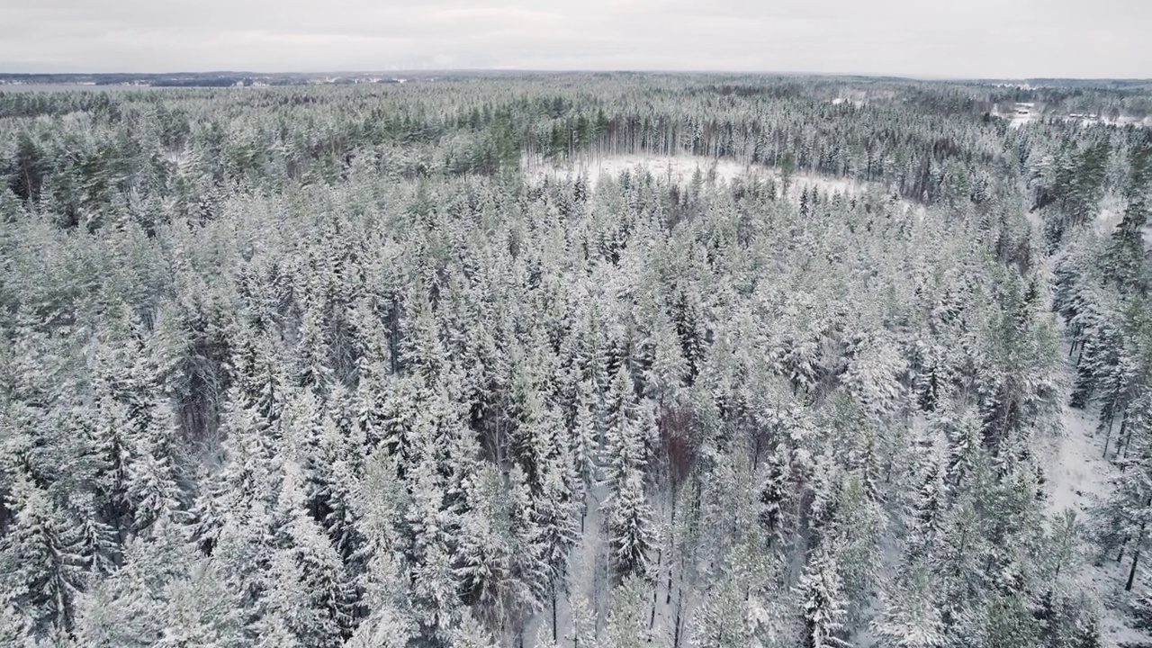 无人机拍摄的画面显示，冬天天空灰暗，森林里有雪视频素材