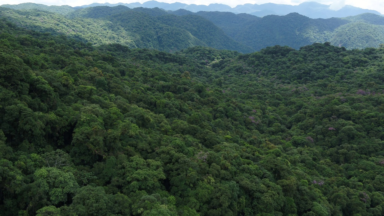 巴西南部大西洋森林生物群系鸟瞰图。视频素材