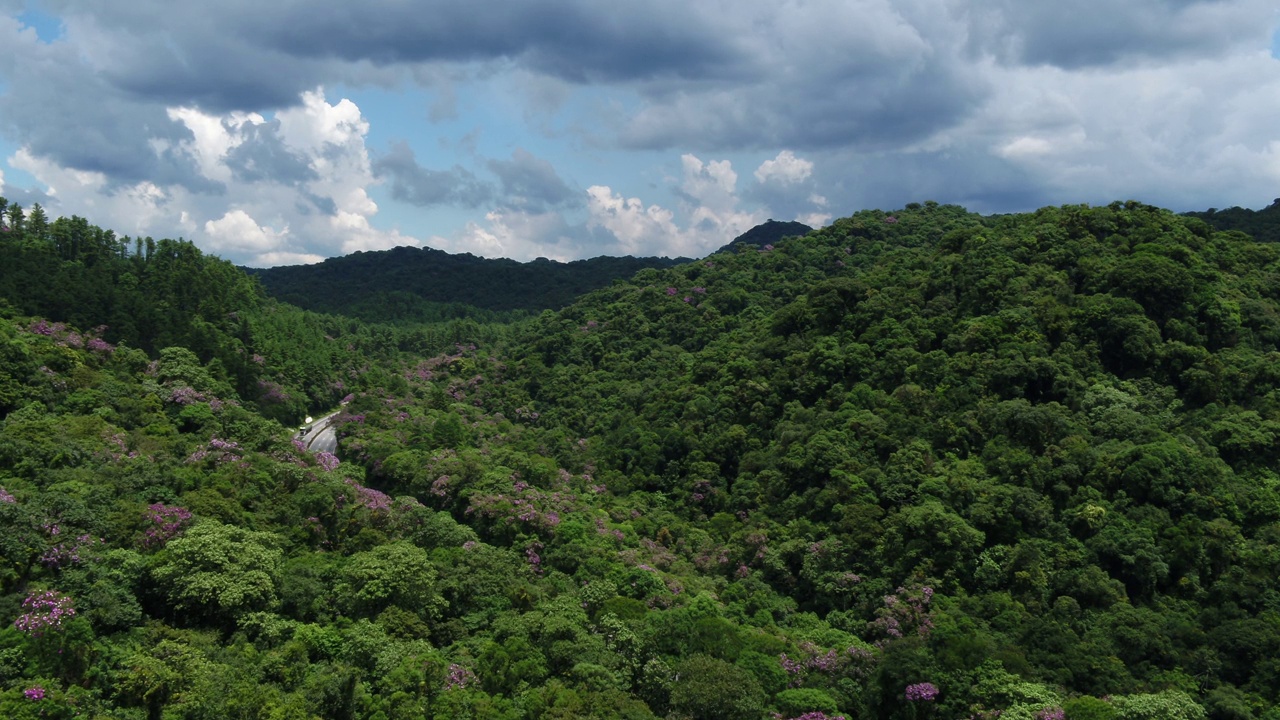 巴西大西洋森林生物群系里吉斯·比腾古公路鸟瞰图。
主题视频收藏。视频素材