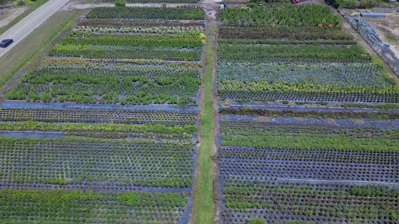 花卉运输物流视频素材