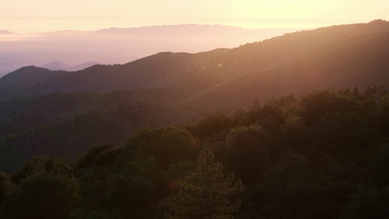 在粉红色和金色的晚霞中，夕阳落在森林的山丘上视频素材