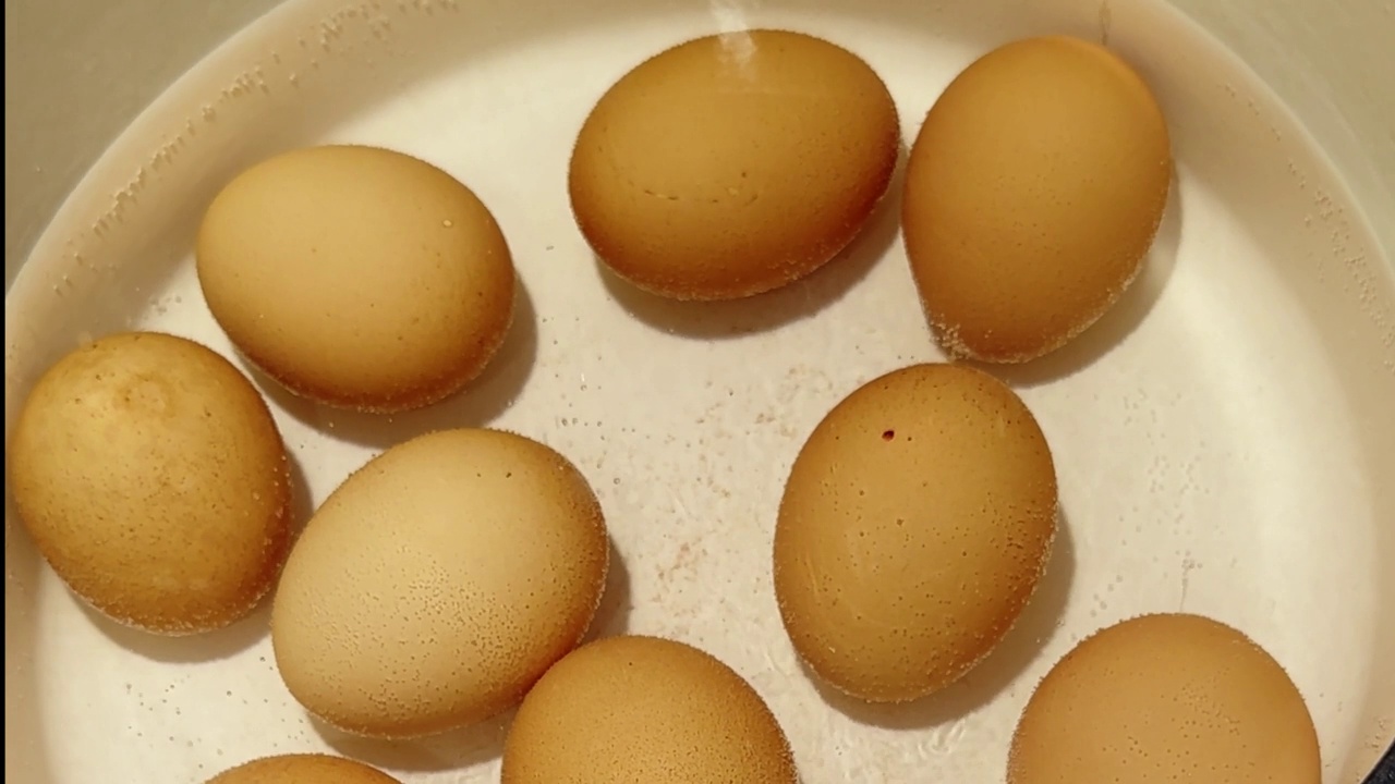 从牧场饲养的鸡中煮棕色的鸡蛋视频下载