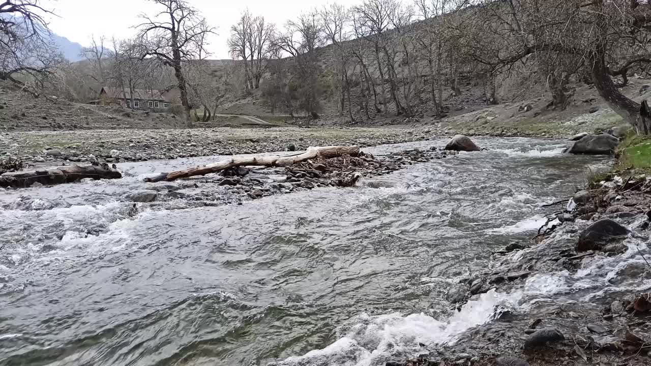 从山上流下的一条狂风暴雨的小河，河床上倒下的树木和大石头;在一个多云的春日里，高高的河岸上有一所舒适的房子。视频素材