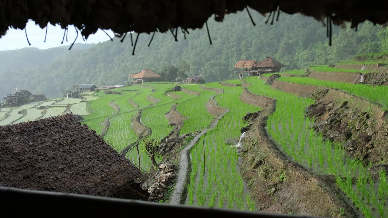 雨落在绿色的水稻梯田和木屋外的山上视频素材