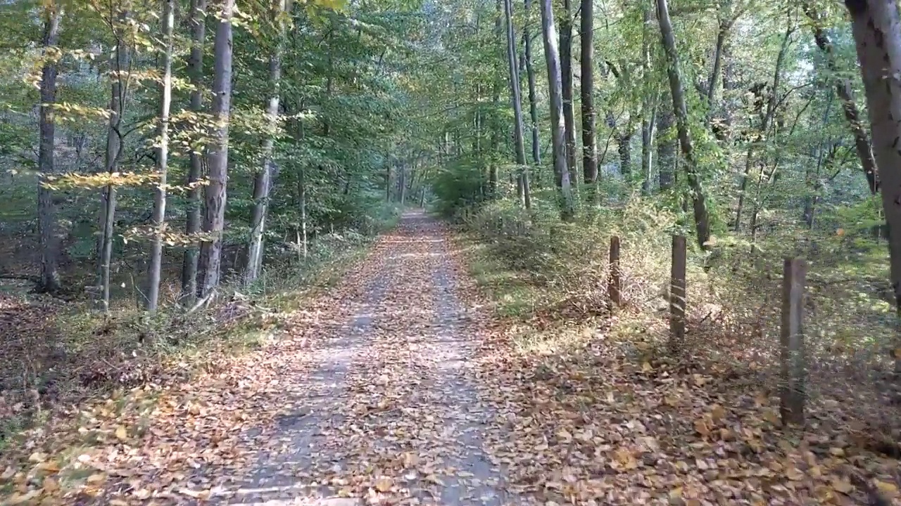 在秋天的砾石路上骑自行车(树木，落叶，秋天的颜色，自然，山地自行车，纽约的老巴豆渡槽小道)视频素材