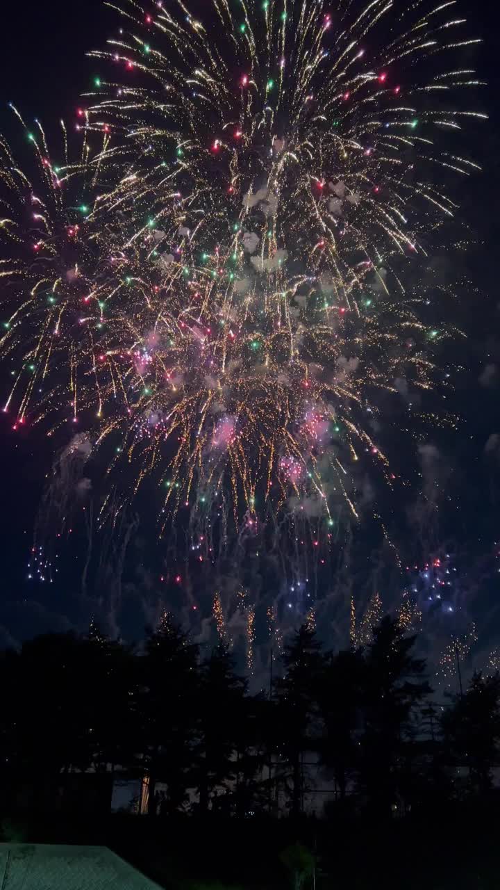 烟花视频下载